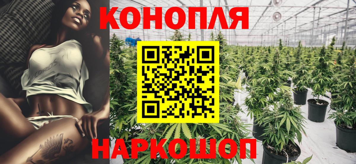 Бошки Шишки White Widow  Конопля конопля  Вход с VPN  Серов 